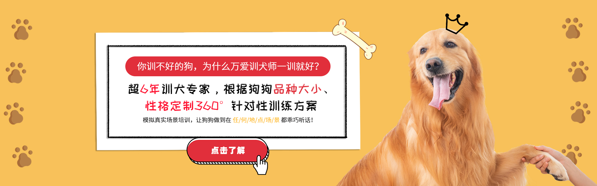 广州万爱宠物训犬师超6年训犬经验