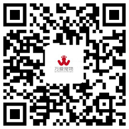 微信公众号