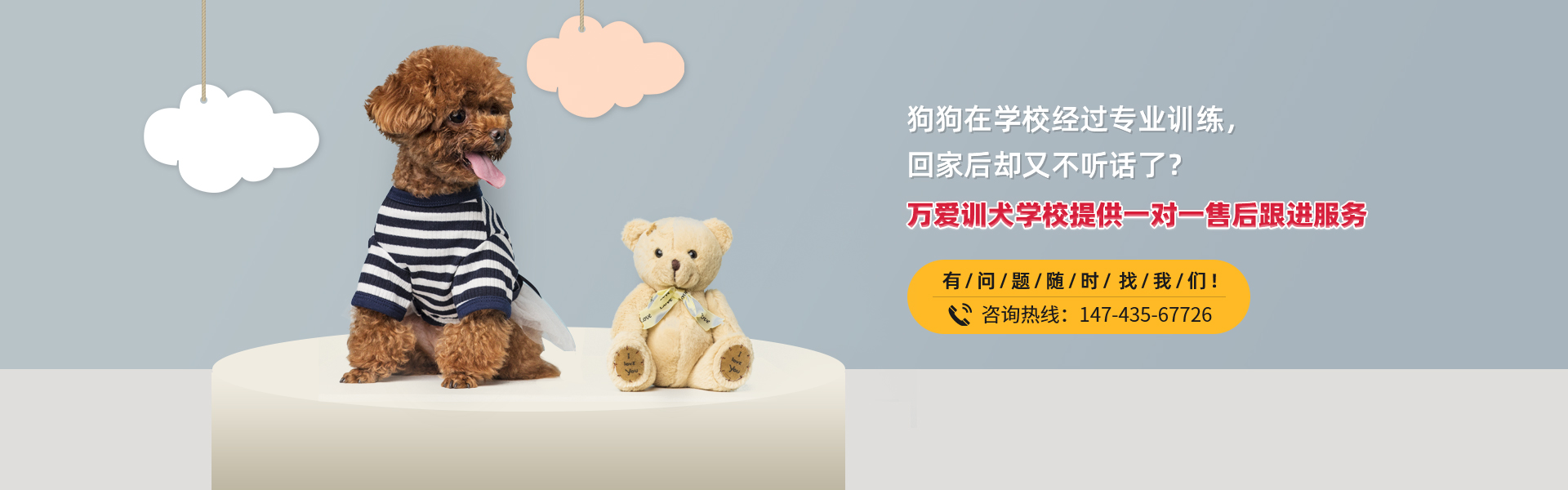万爱训犬学校提供一对一售后跟进服务