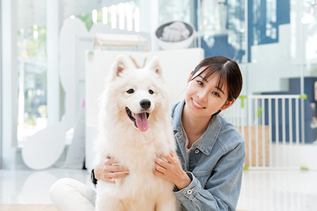 狗狗吠叫是什么原因