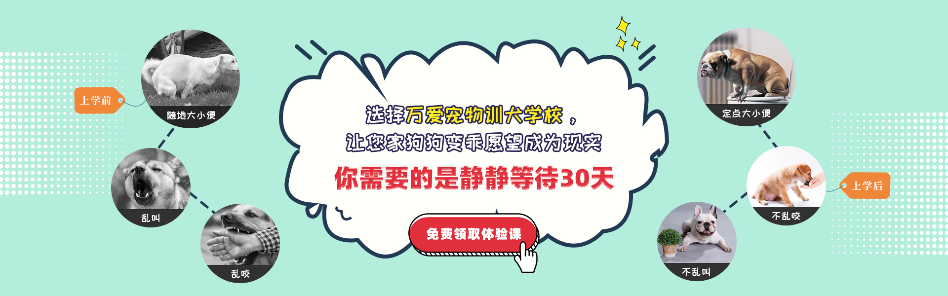 选择万爱宠物训狗学校，即可报名体验