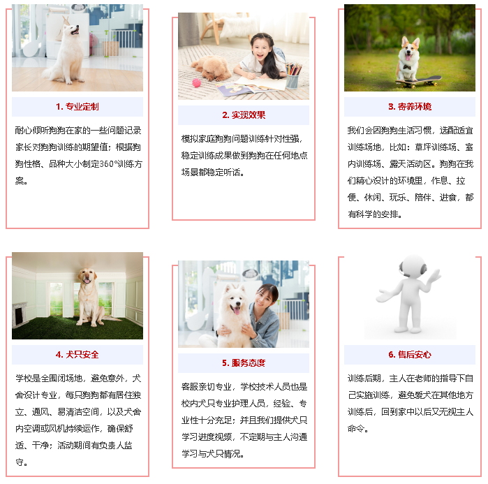 定点大小便训练